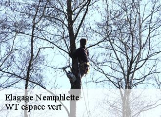 Elagage neauphlette-78980 WT espace vert
