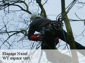 Elagage nezel-78410 Archange Paysagiste 78