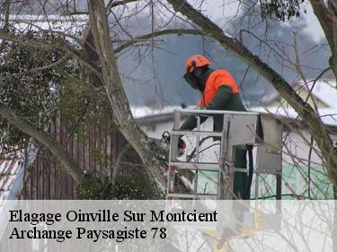 Elagage  oinville-sur-montcient-78250 Archange Elagage