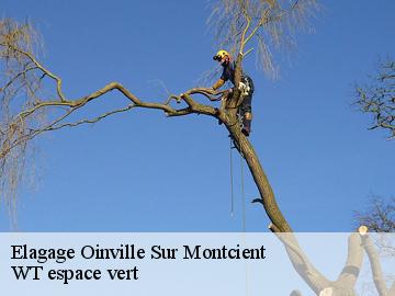 Elagage oinville-sur-montcient-78250 WT espace vert