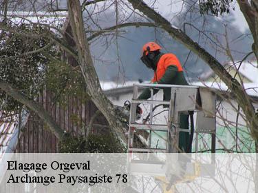 Elagage  orgeval-78630 Archange Elagage