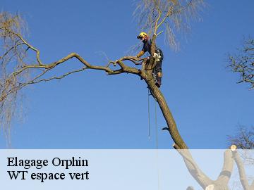 Elagage orphin-78125 WT espace vert