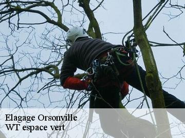 Elagage orsonville-78660 WT espace vert