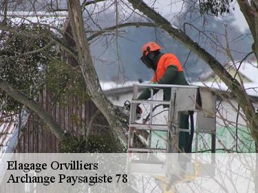 Elagage  orvilliers-78910 Archange Paysagiste 78