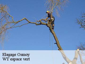Elagage osmoy-78910 Archange Paysagiste 78