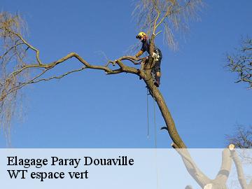 Elagage paray-douaville-78660 WT espace vert