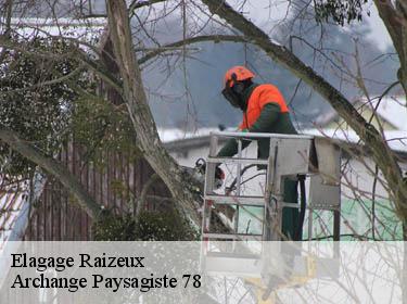 Elagage  raizeux-78125 Archange Paysagiste 78