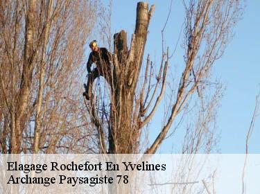 Elagage  rochefort-en-yvelines-78730 Archange Paysagiste 78