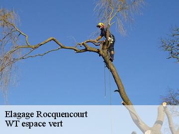 Elagage rocquencourt-78150 Archange Paysagiste 78