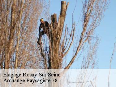 Elagage  rosny-sur-seine-78710 Archange Paysagiste 78