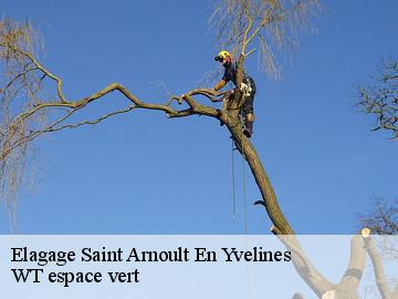 Elagage saint-arnoult-en-yvelines-78730 WT espace vert