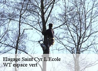 Elagage saint-cyr-l-ecole-78210 Archange Paysagiste 78