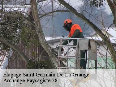 Elagage  saint-germain-de-la-grange-78640 Archange Elagage