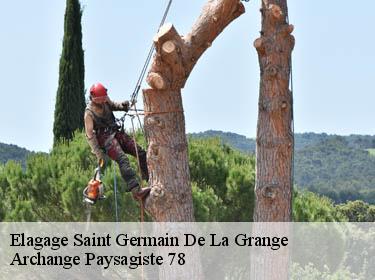 Elagage  saint-germain-de-la-grange-78640 Archange Elagage