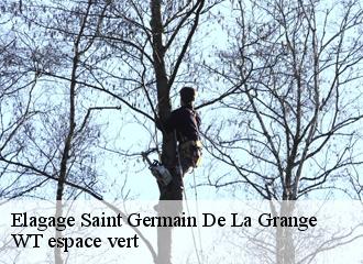 Elagage saint-germain-de-la-grange-78640 Archange Paysagiste 78