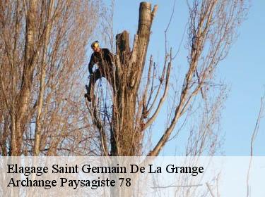 Elagage  saint-germain-de-la-grange-78640 Archange Paysagiste 78