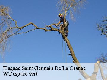 Elagage saint-germain-de-la-grange-78640 Archange Paysagiste 78