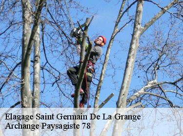 Elagage  saint-germain-de-la-grange-78640 Archange Paysagiste 78