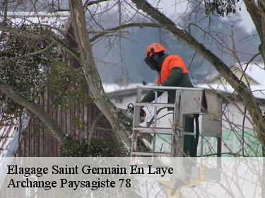 Elagage  saint-germain-en-laye-78100 Archange Elagage