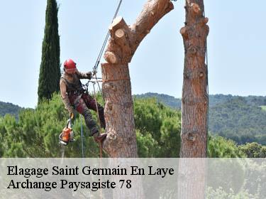 Elagage  saint-germain-en-laye-78100 Archange Paysagiste 78