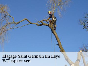 Elagage saint-germain-en-laye-78100 Archange Paysagiste 78
