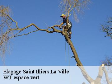 Elagage saint-illiers-la-ville-78980 Archange Paysagiste 78