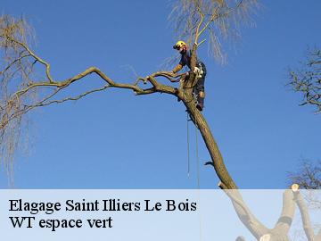 Elagage saint-illiers-le-bois-78980 Archange Paysagiste 78
