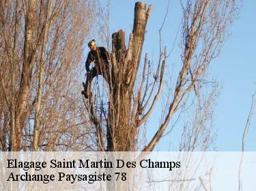 Elagage  saint-martin-des-champs-78790 Archange Paysagiste 78