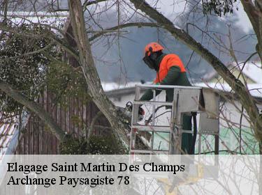 Elagage  saint-martin-des-champs-78790 Archange Elagage