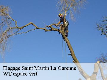 Elagage saint-martin-la-garenne-78520 Archange Paysagiste 78