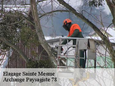 Elagage  sainte-mesme-78730 Archange Elagage