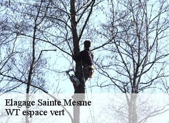 Elagage sainte-mesme-78730 WT espace vert