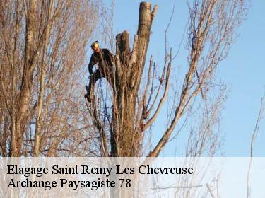 Elagage  saint-remy-les-chevreuse-78470 Archange Elagage
