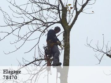 Elagage saint-remy-les-chevreuse-78470 Archange Paysagiste 78