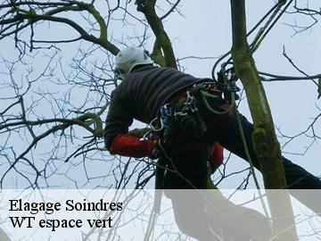 Elagage soindres-78200 WT espace vert