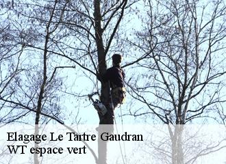 Elagage le-tartre-gaudran-78113 WT espace vert