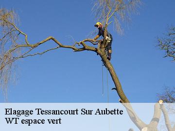 Elagage tessancourt-sur-aubette-78250 Archange Paysagiste 78