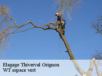 Elagage  thiverval-grignon-78850 Archange Paysagiste 78