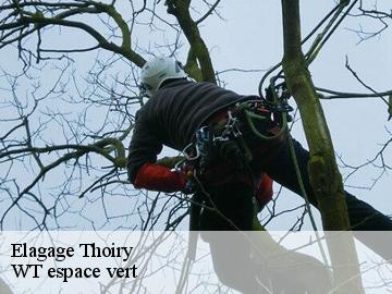 Elagage thoiry-78770 WT espace vert