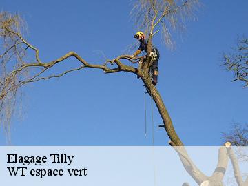 Elagage tilly-78790 Archange Paysagiste 78