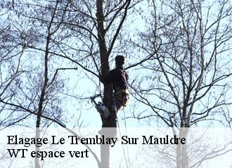 Elagage le-tremblay-sur-mauldre-78490 WT espace vert