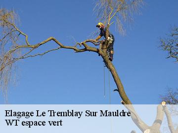 Elagage le-tremblay-sur-mauldre-78490 WT espace vert