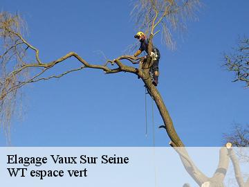 Elagage vaux-sur-seine-78740 WT espace vert