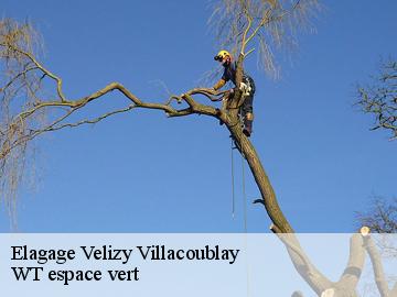 Elagage velizy-villacoublay-78140 Archange Paysagiste 78