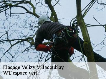 Elagage velizy-villacoublay-78140 WT espace vert