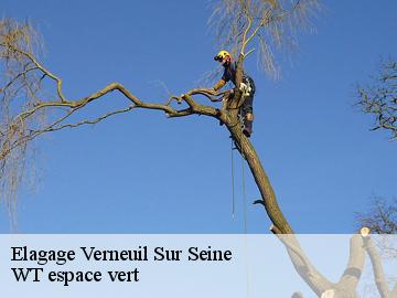 Elagage verneuil-sur-seine-78480 Archange Paysagiste 78
