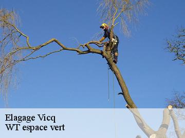 Elagage vicq-78490 WT espace vert