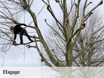 Elagage  vieille-eglise-yvelines-78125 Archange Paysagiste 78