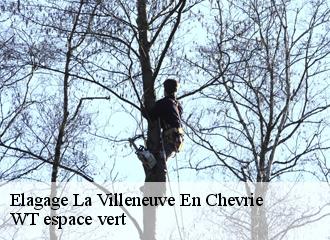 Elagage la-villeneuve-en-chevrie-78270 Archange Paysagiste 78