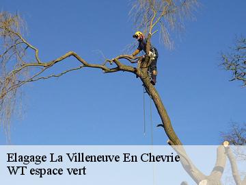 Elagage la-villeneuve-en-chevrie-78270 Archange Paysagiste 78